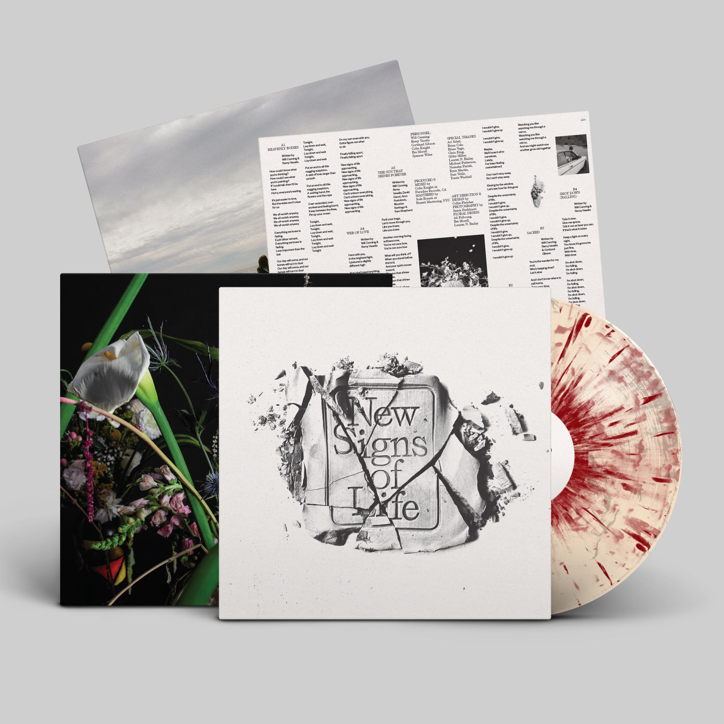 dais-records-death-bells-new-signs-of-life-vinyle-lp-noir-rock image 2