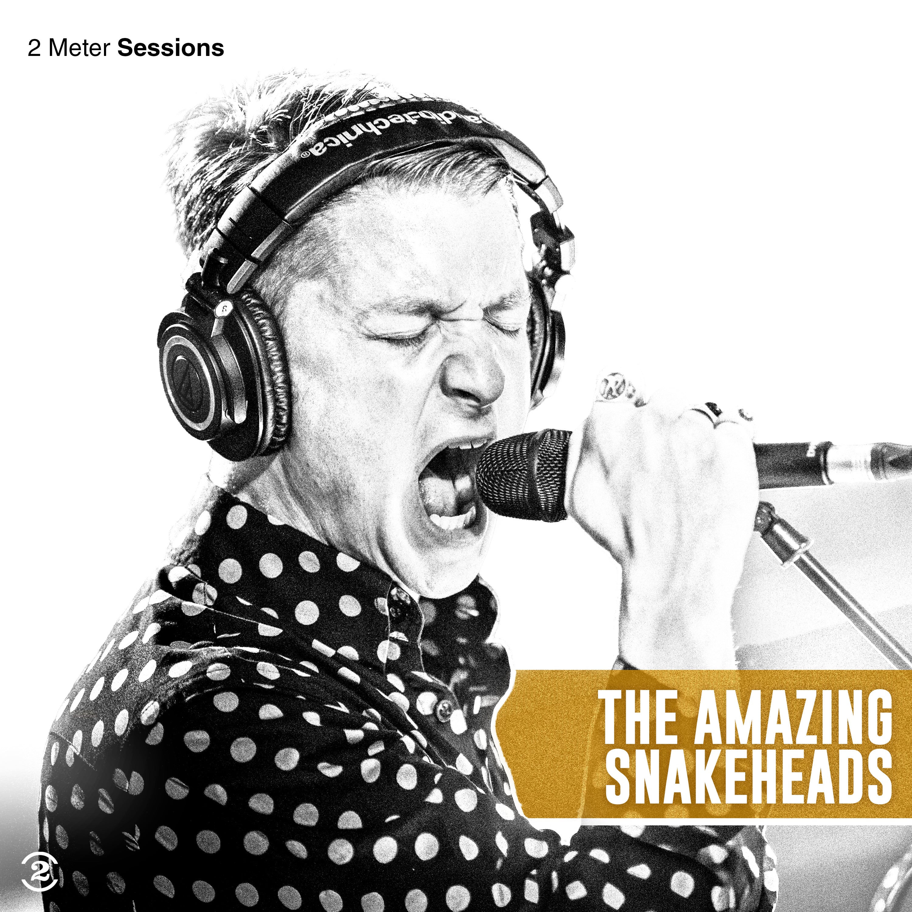 charly-records-amazing-snakeheads-2-meter-sessions-vinyle-gold image 1