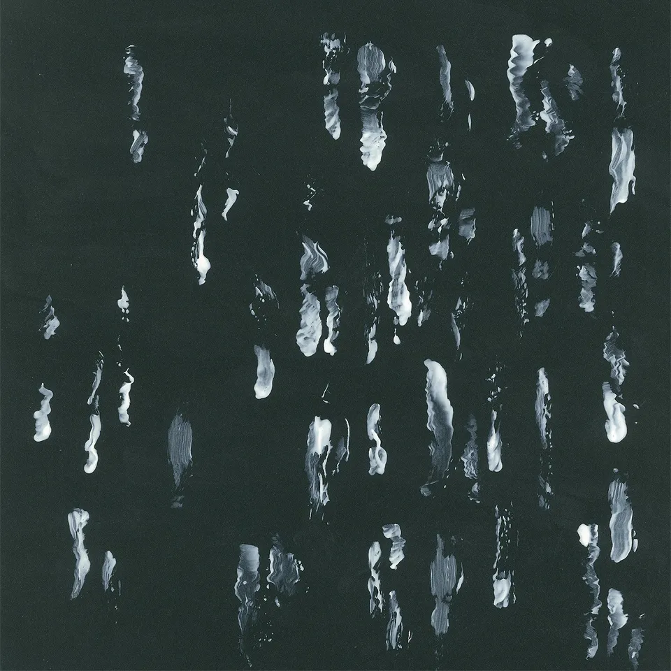 dais-records-amusers-and-puzzlers-vinyle-lp-noir-dition-500 image 1