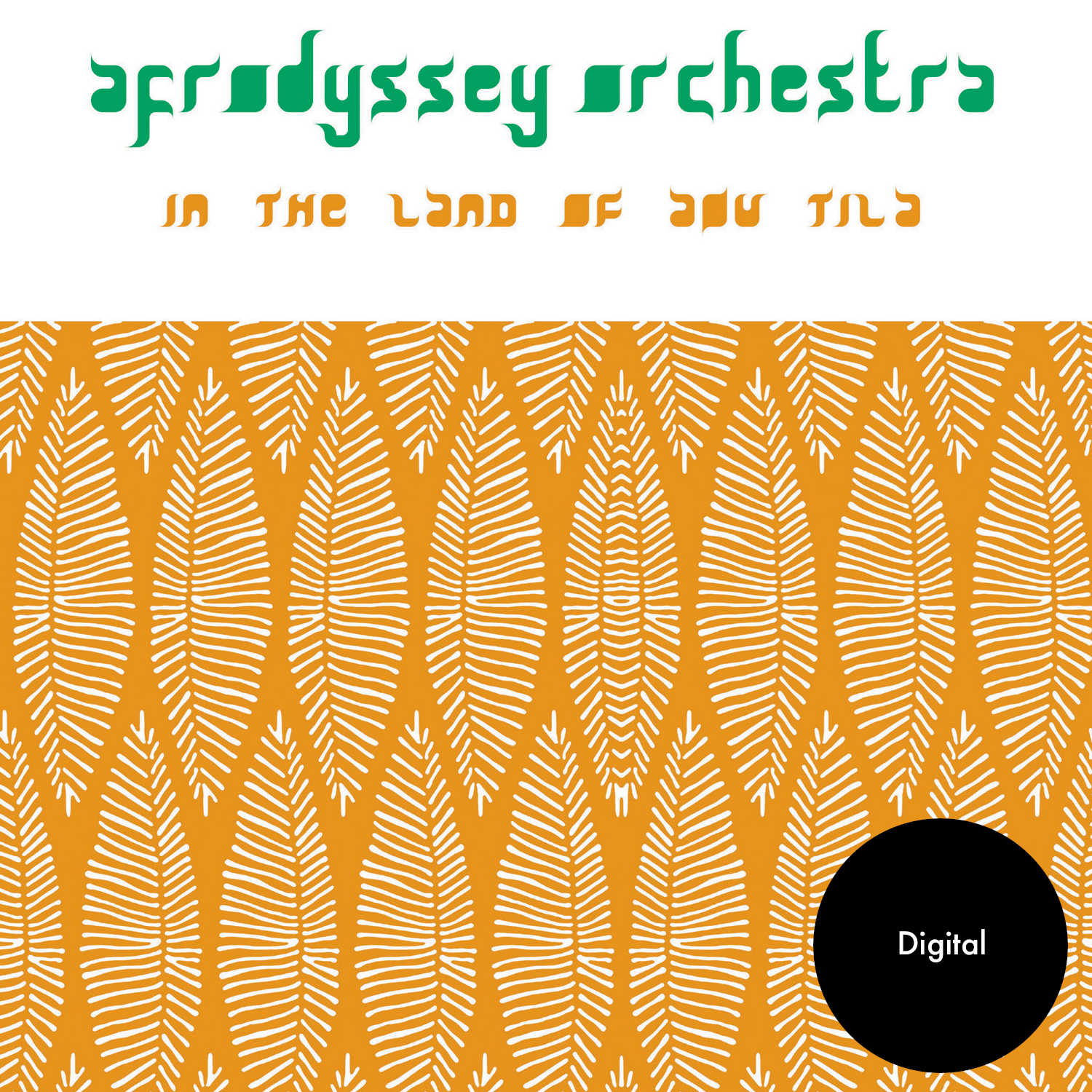 afrodyssey-orchestra-in-the-land-of-aou-tila-alt001-vinyle-lp-afro-jazz image 8