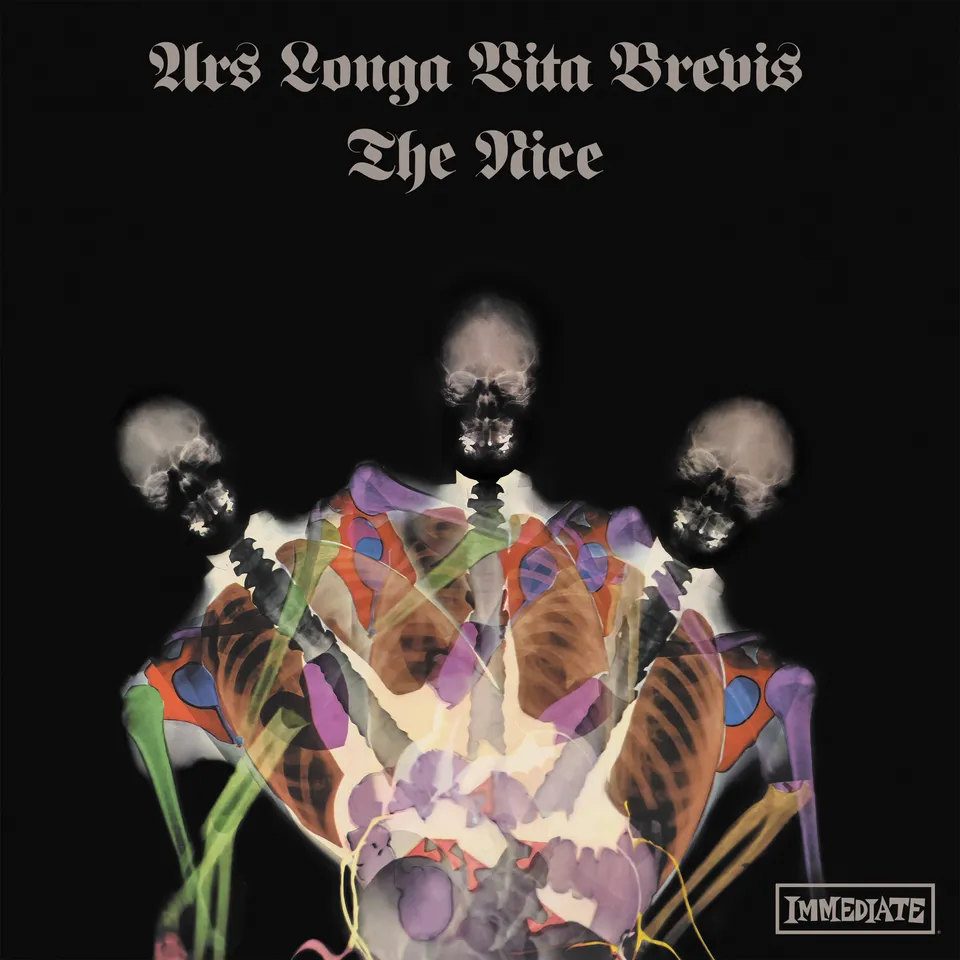 charly-records-the-nice-ars-longa-vinyle-marbr-progressif image 1