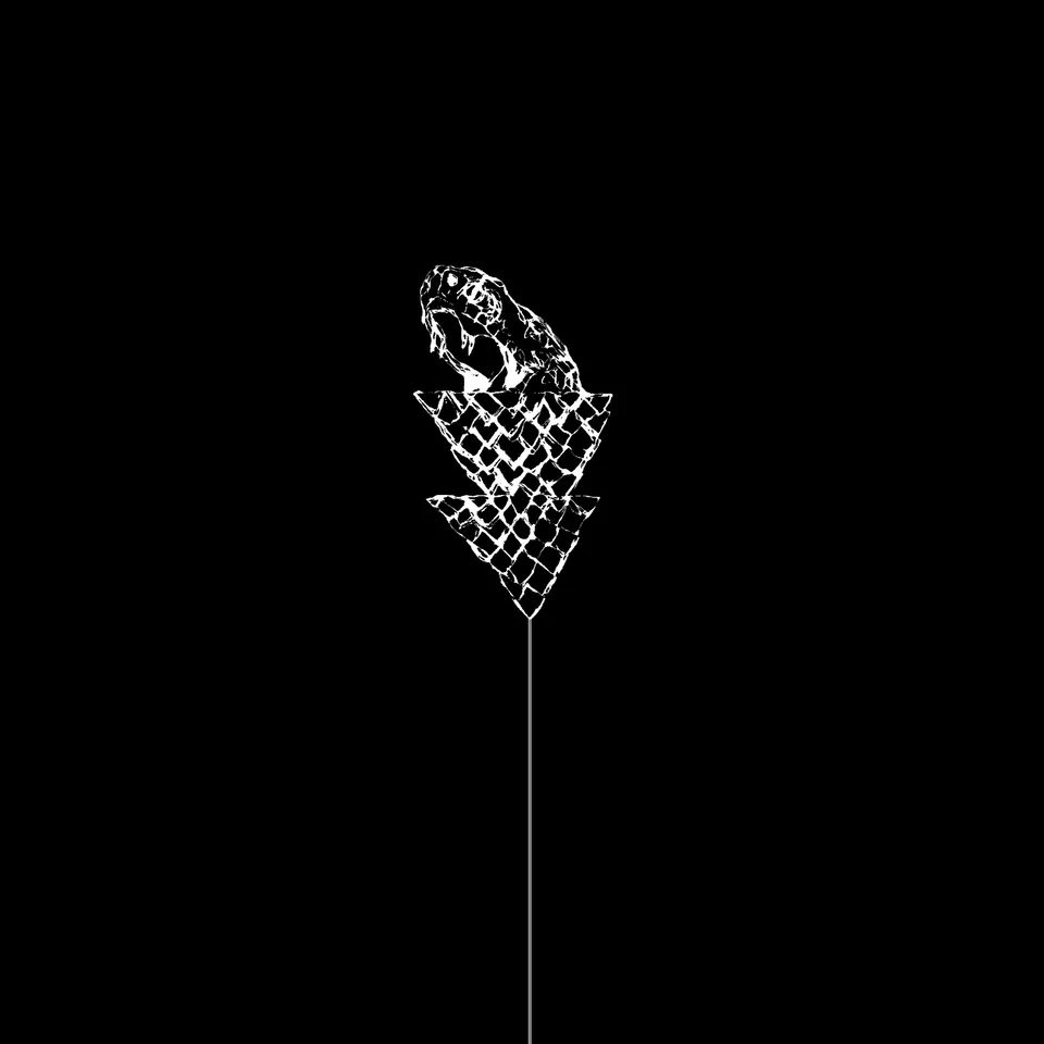 dais-records-wetware-flail-vinyle-lp-noir-lectro-noisy image 1