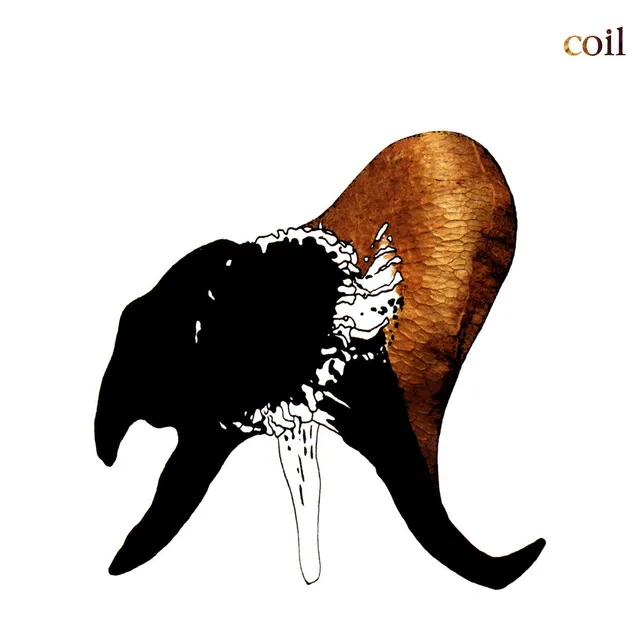 dais-records-black-antlers-double-vinyle-2lp-noir-coil image 1