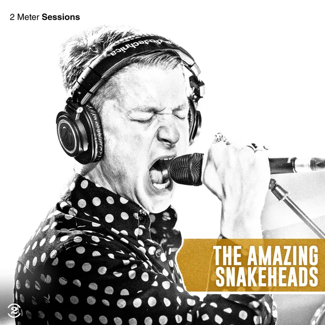 charly-records-amazing-snakeheads-2-meter-sessions-vinyle-gold image 1