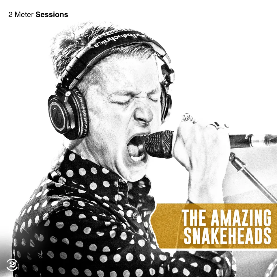 charly-records-amazing-snakeheads-2-meter-sessions-vinyle-gold image 1