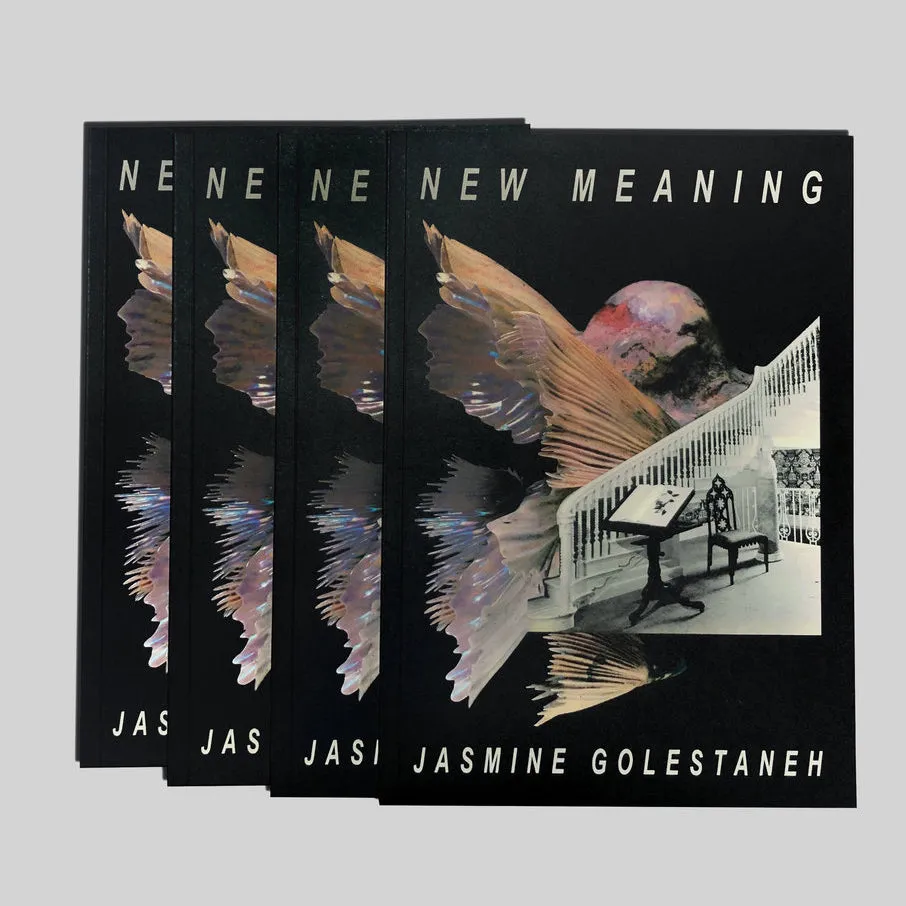 dais-records-new-meaning-art-lyrics-book-livre-64-pages-collages image 1
