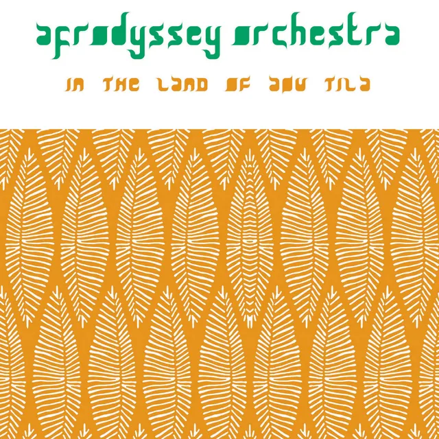 afrodyssey-orchestra-in-the-land-of-aou-tila-alt001-vinyle-lp-afro-jazz image 1