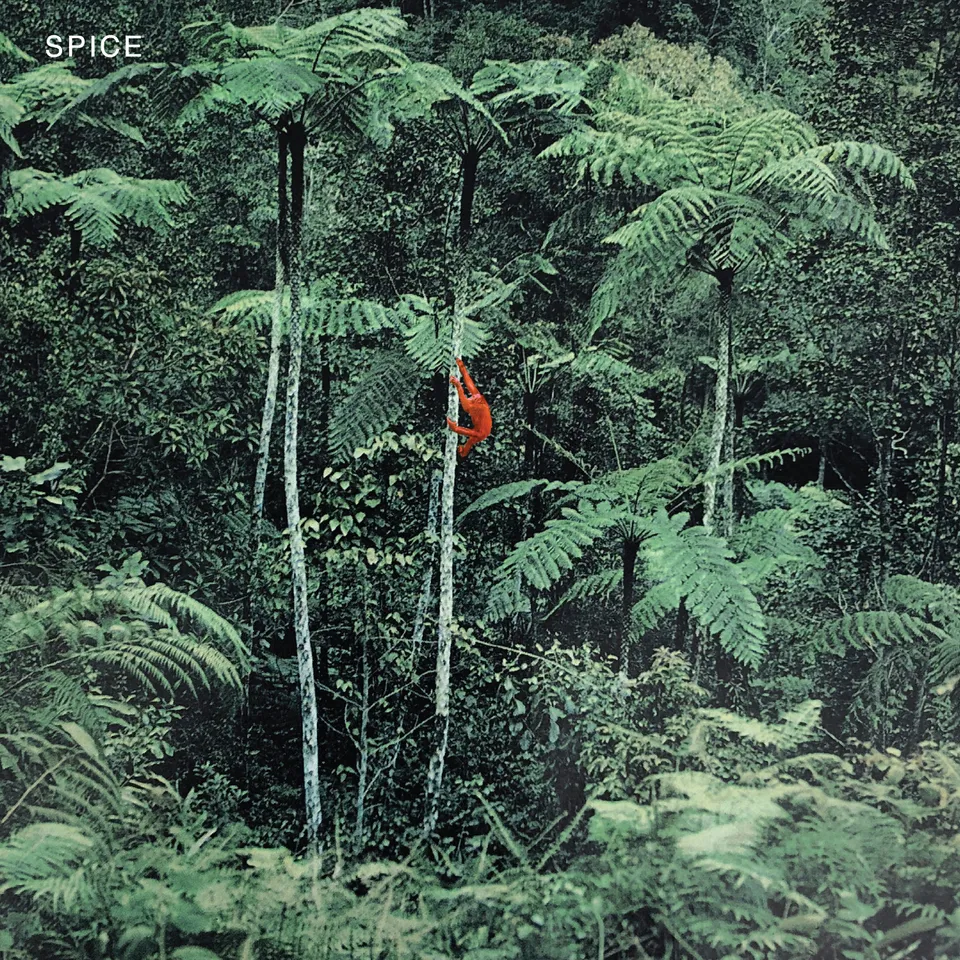 spice-spice-vinyle-lp-noir image 1