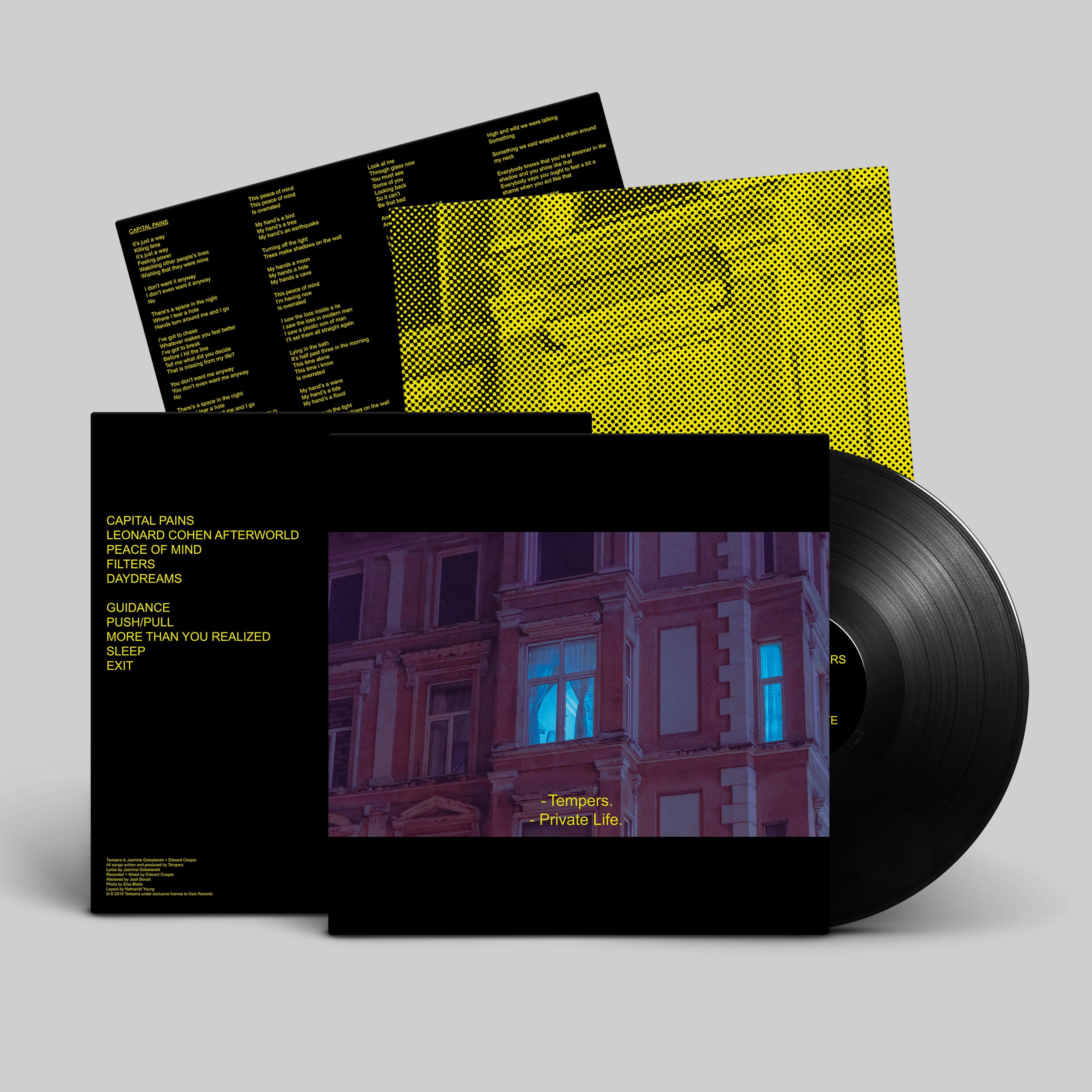 dais-vinyl-private-life-vinyle-lp-noir-synth-pop-tempers image 6