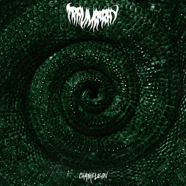 dais-records-trauma-ray-chameleon-vinyle-vert-shoegaze image 1