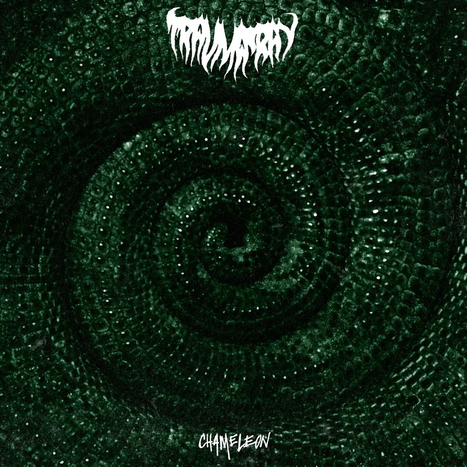 dais-records-trauma-ray-chameleon-vinyle-vert-shoegaze image 1