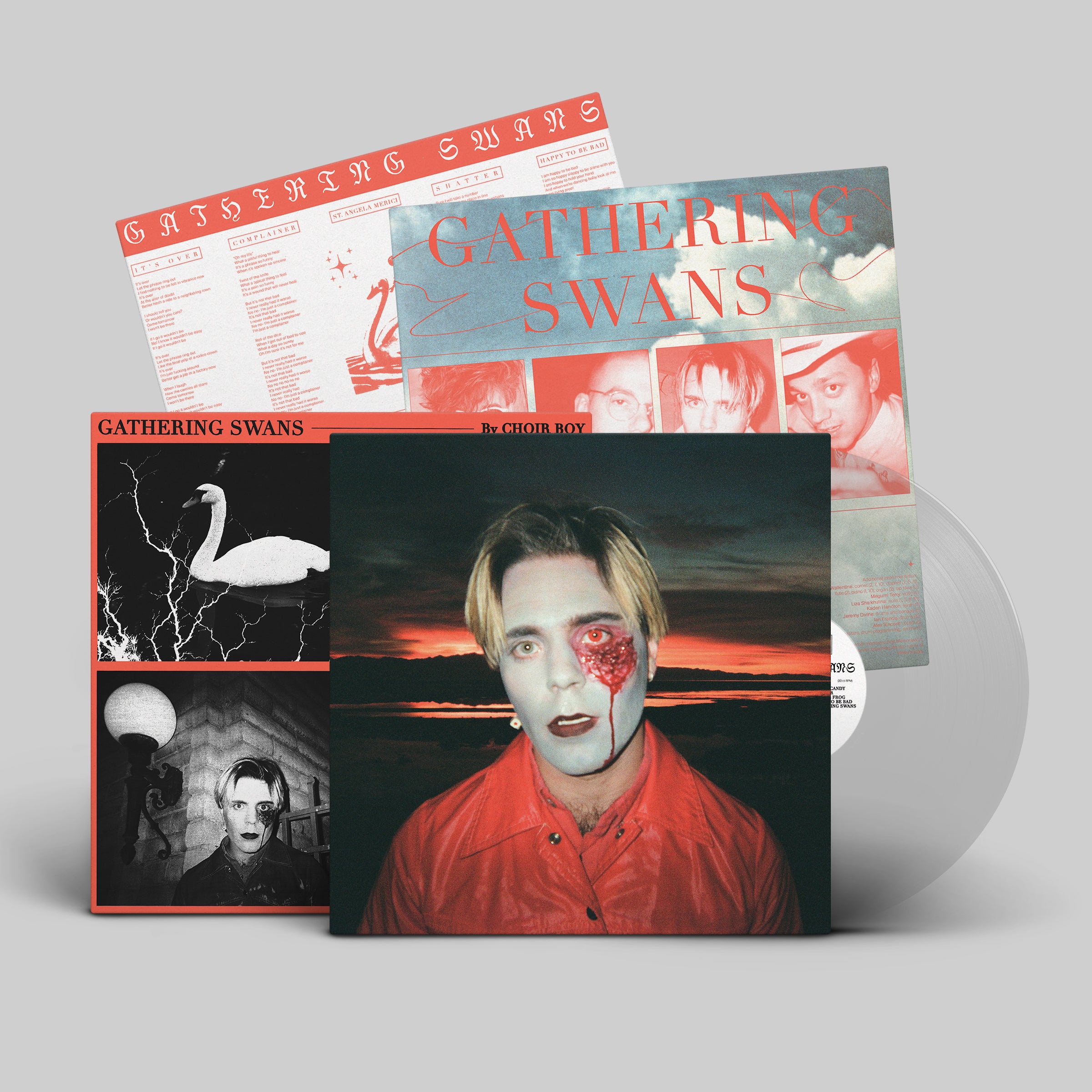 dais-vinyl-gathering-swans-lp-vinyle-bleu-clair-ltd-200 image 4