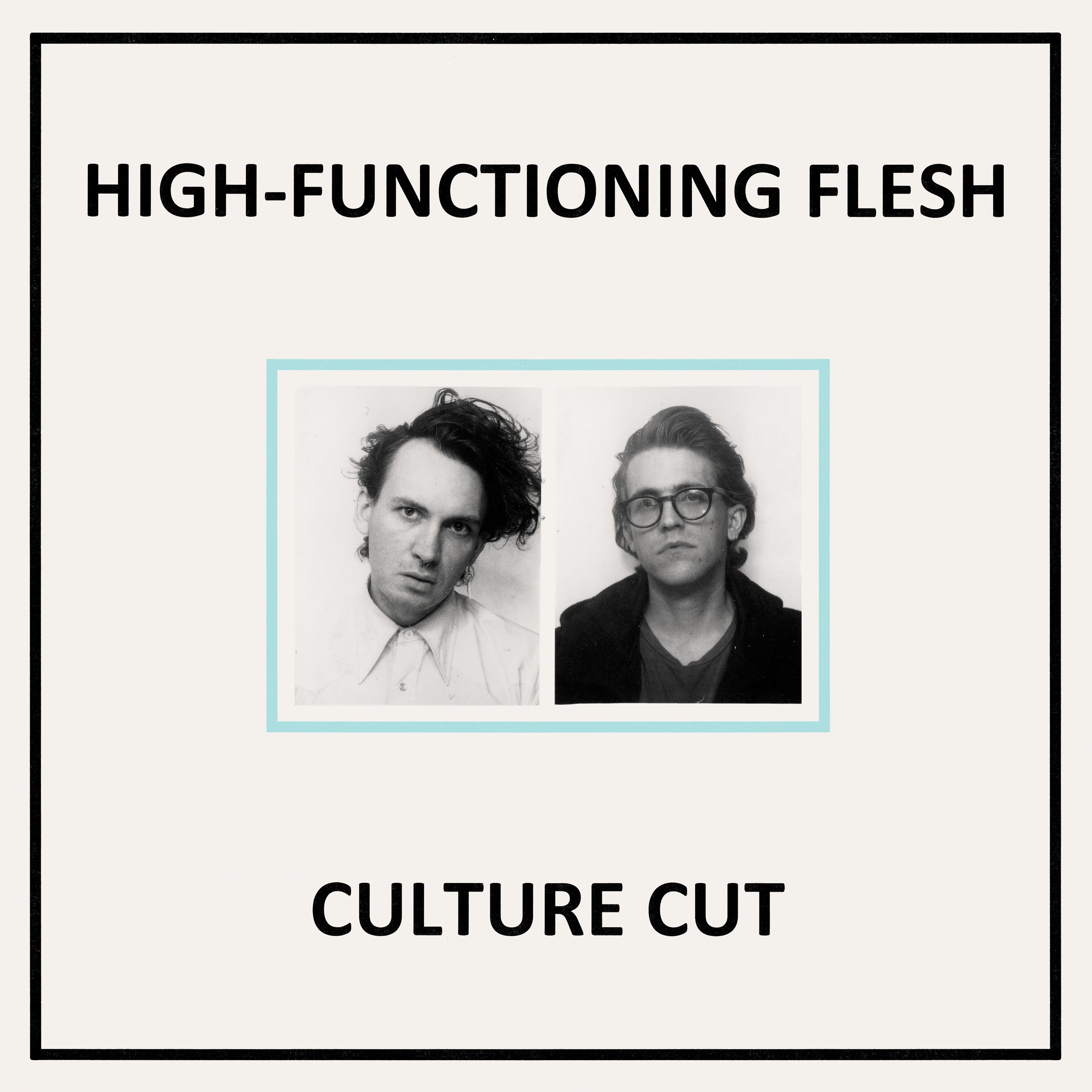 dais-vinyl-culture-cut-vinyle-lp-noir-ebm-electro-high-functioning image 1