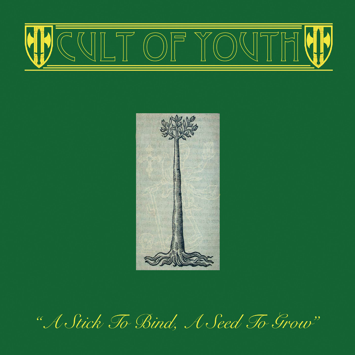 dais-records-cult-of-youth-vinyle-lp-noir-folk image 1