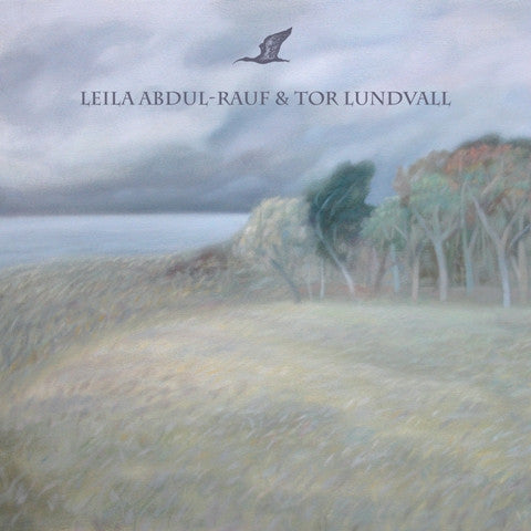 tor-lundvall-ibis-vinyle-noir-7-ltd-300 image 1