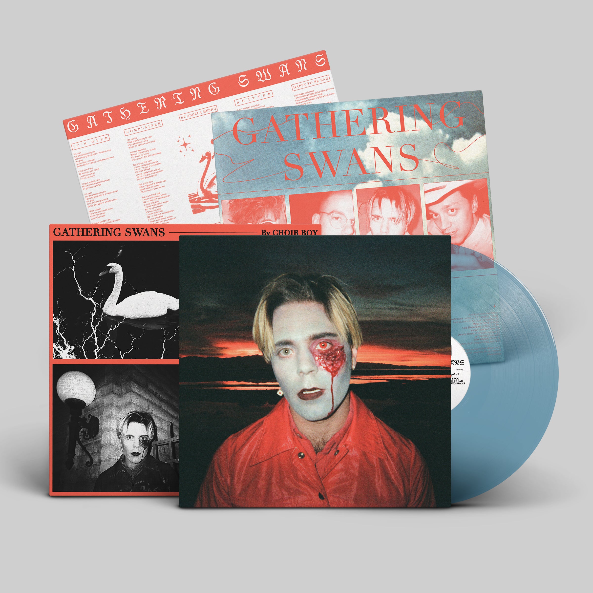 dais-vinyl-gathering-swans-lp-vinyle-bleu-clair-ltd-200 image 8