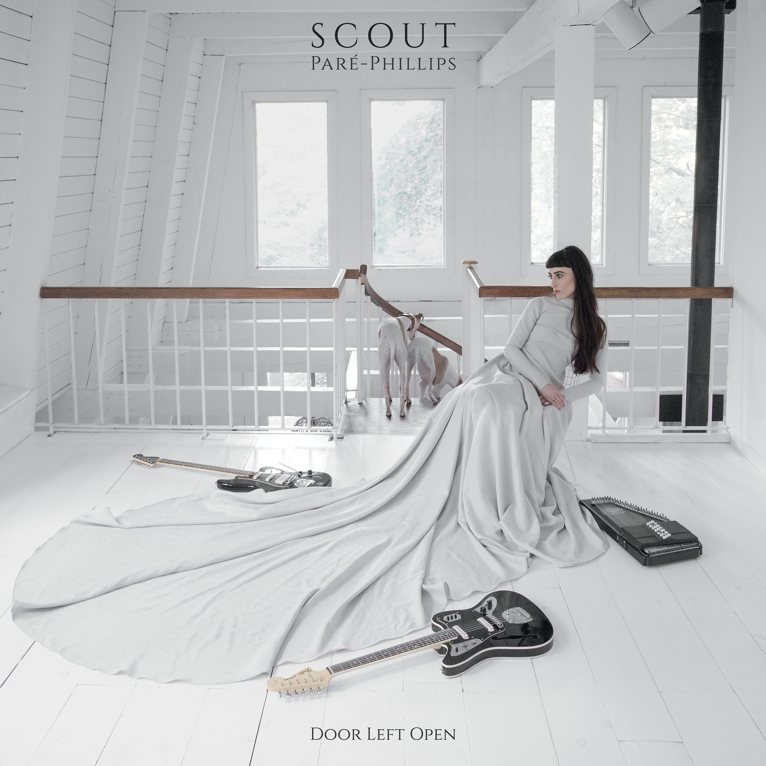 dais-vinyl-door-left-open-vinyle-lp-noir-dition-folk-ambient image 1