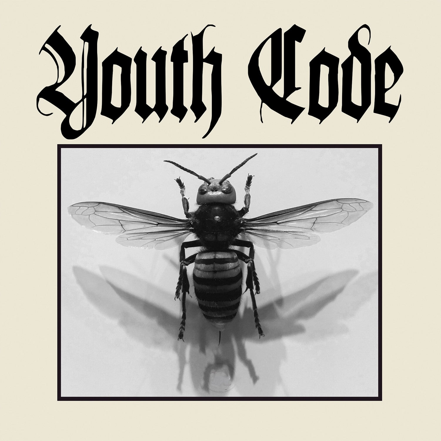 dais-records-youth-code-anagnorisis-vinyle-7-noir-ebm image 1