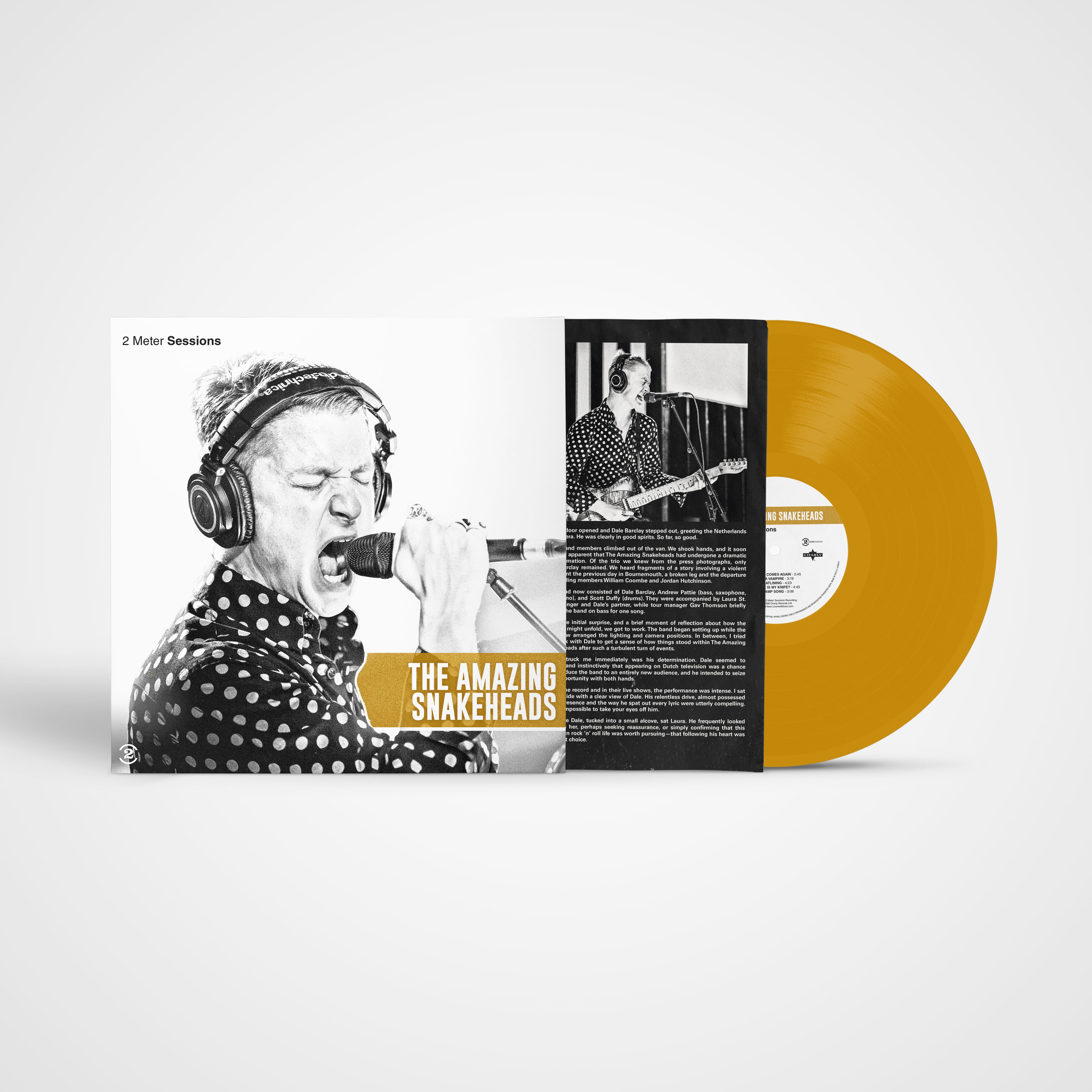 charly-records-amazing-snakeheads-2-meter-sessions-vinyle-gold image 2