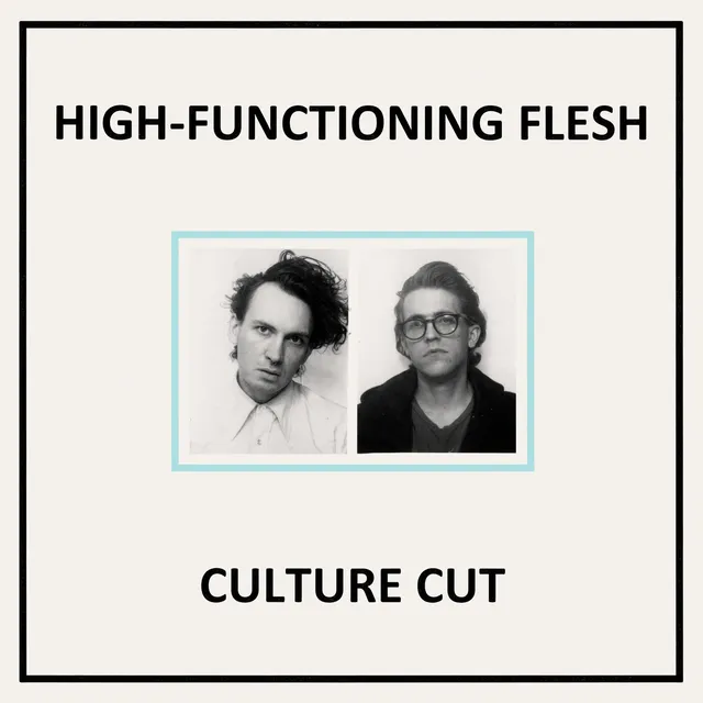dais-vinyl-culture-cut-vinyle-lp-noir-ebm-electro-high-functioning image 1