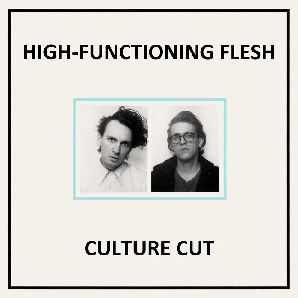 dais-vinyl-culture-cut-vinyle-lp-noir-ebm-electro-high-functioning image 1