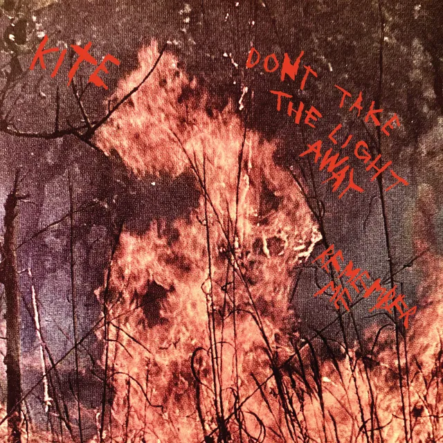 dais-kite-don-t-take-the-light-vinyle-7-splatter-ltd image 1