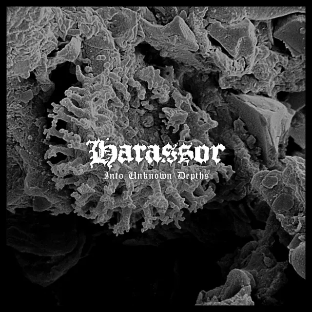 harassor-into-unknown-depths-vinyle-lp-noir-black-metal image 1