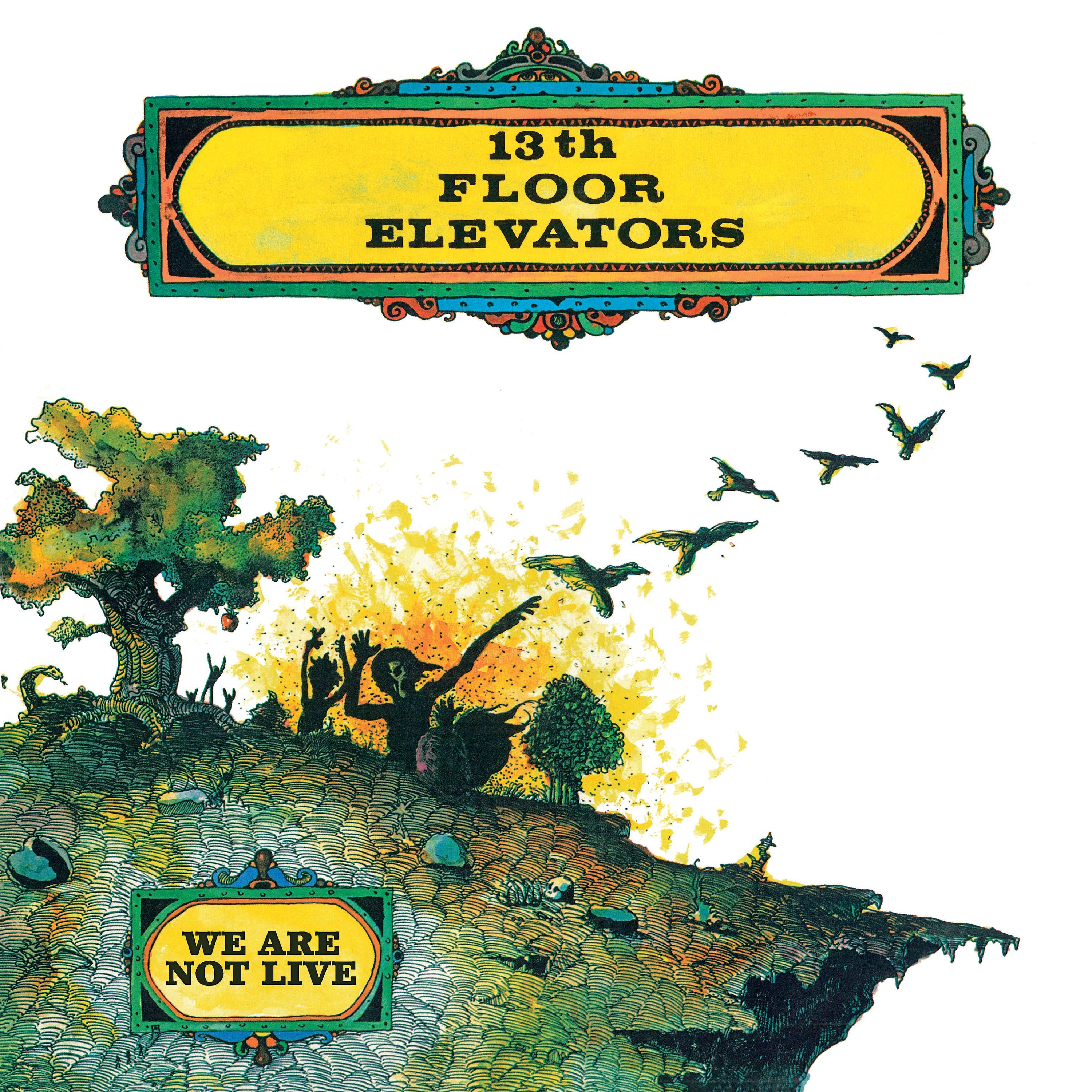 13th-floor-elevators-we-are-not-live-vinyle-lp-noir-r-dition image 1