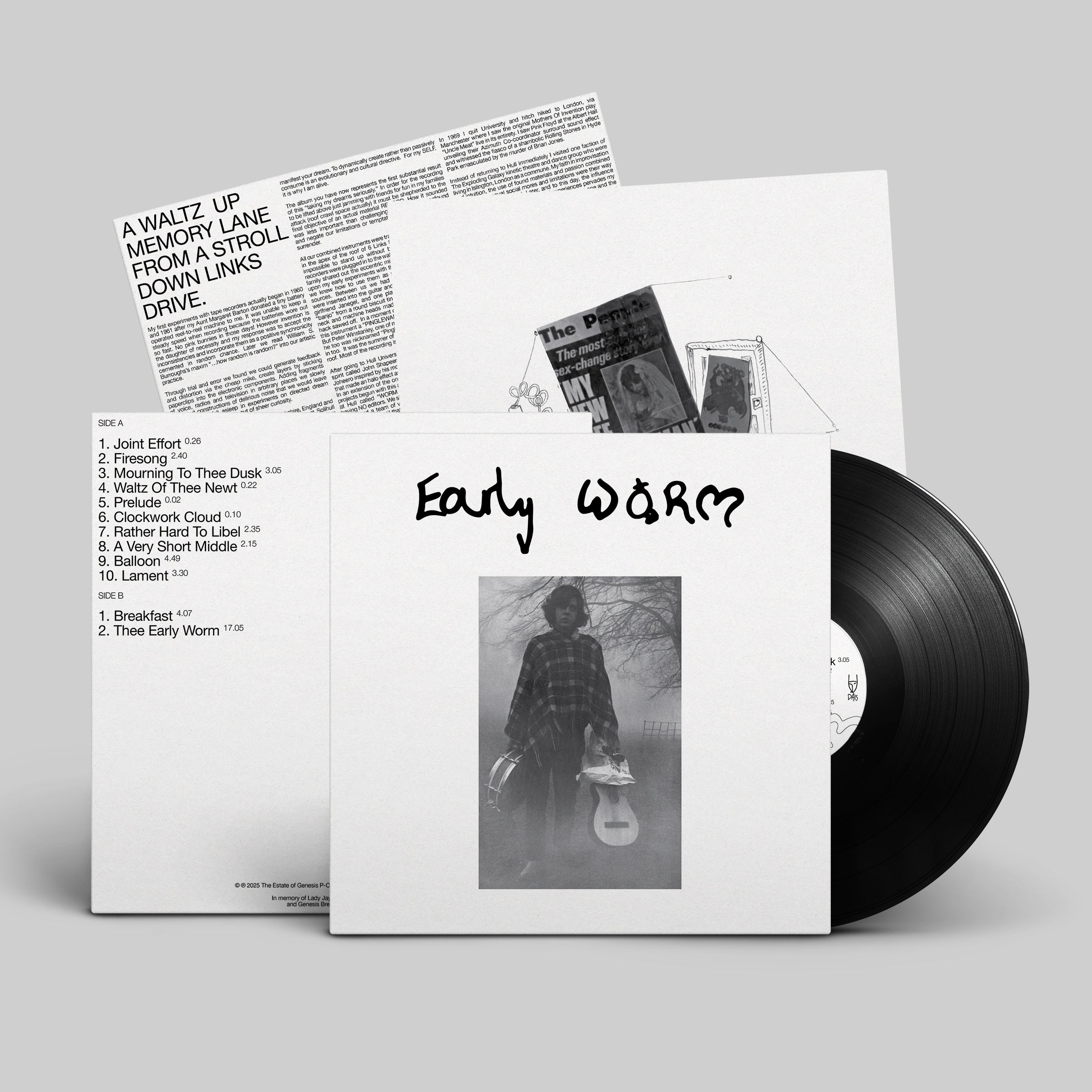 dais-vinyl-early-worm-lp-vinyle-bleu-marbr-ltd-200 image 4