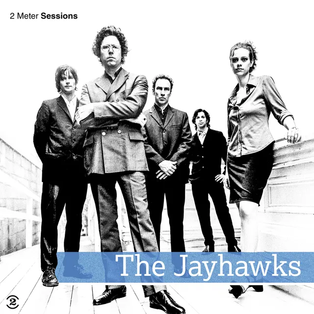 charly-records-2-meter-sessions-vinyle-lp-noir-jayhawks image 1
