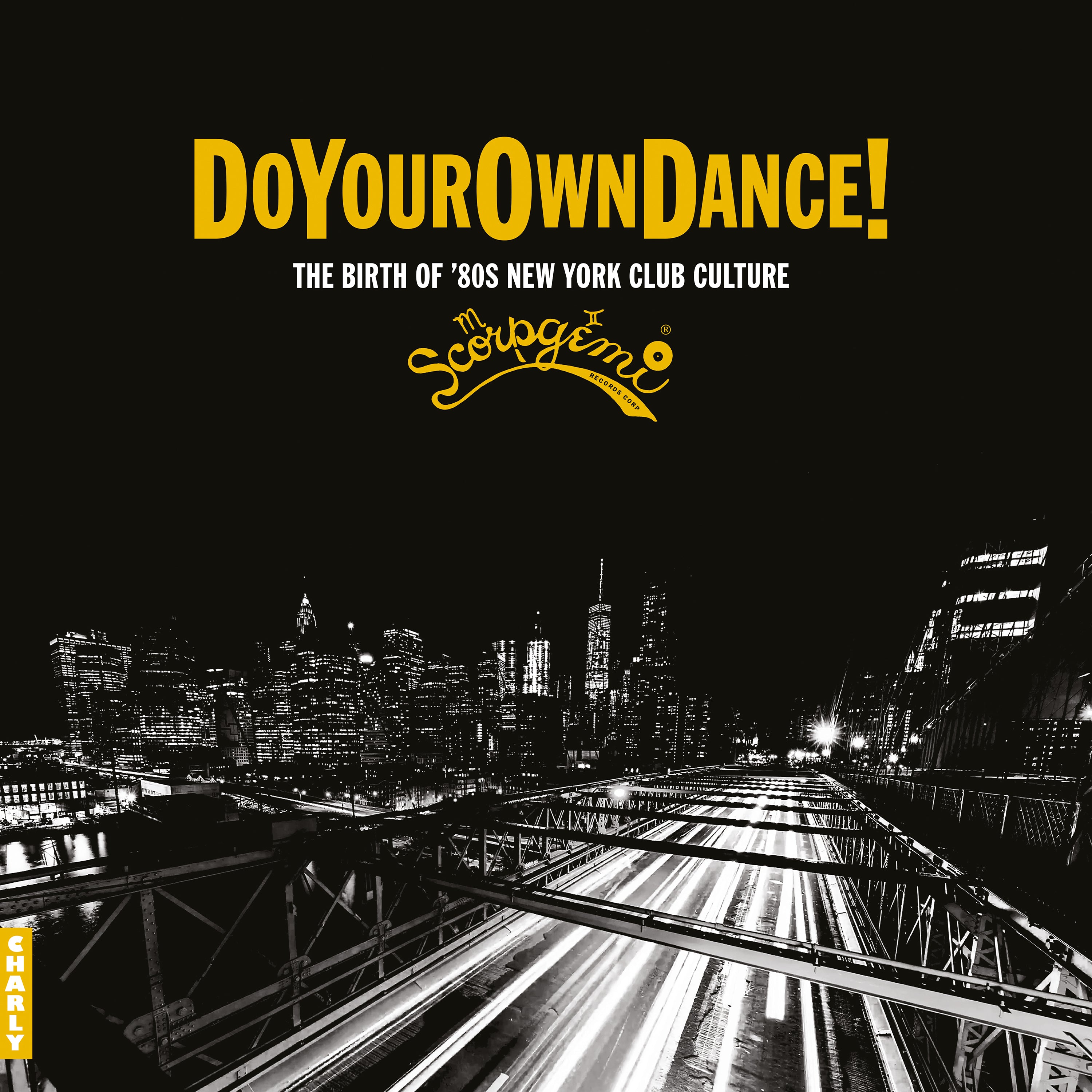 charly-soul-r-b-do-your-own-dance-vinyle-lp-disco-funk-noir image 1