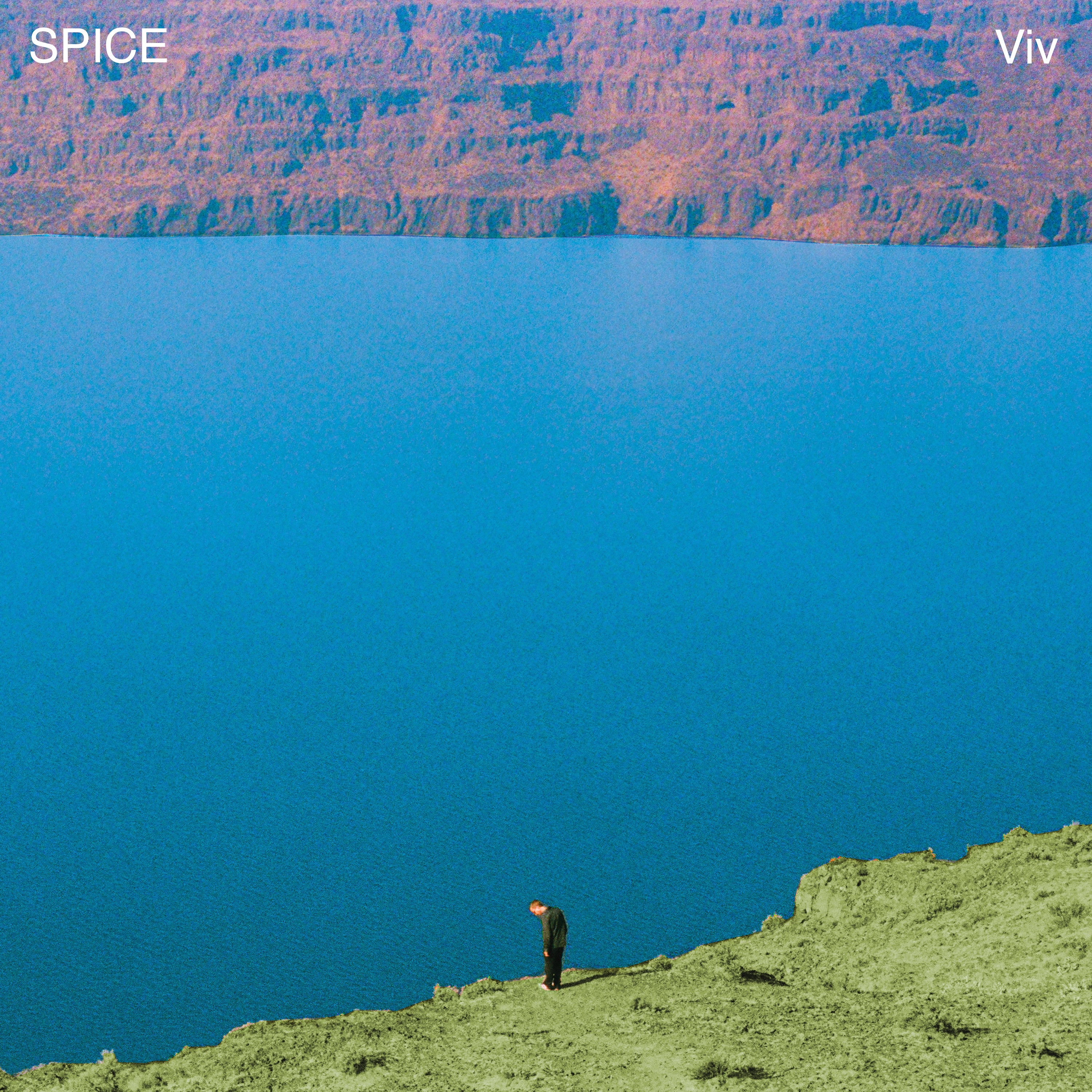 spice-viv-vinyle-noir-lp-rock-californien image 1