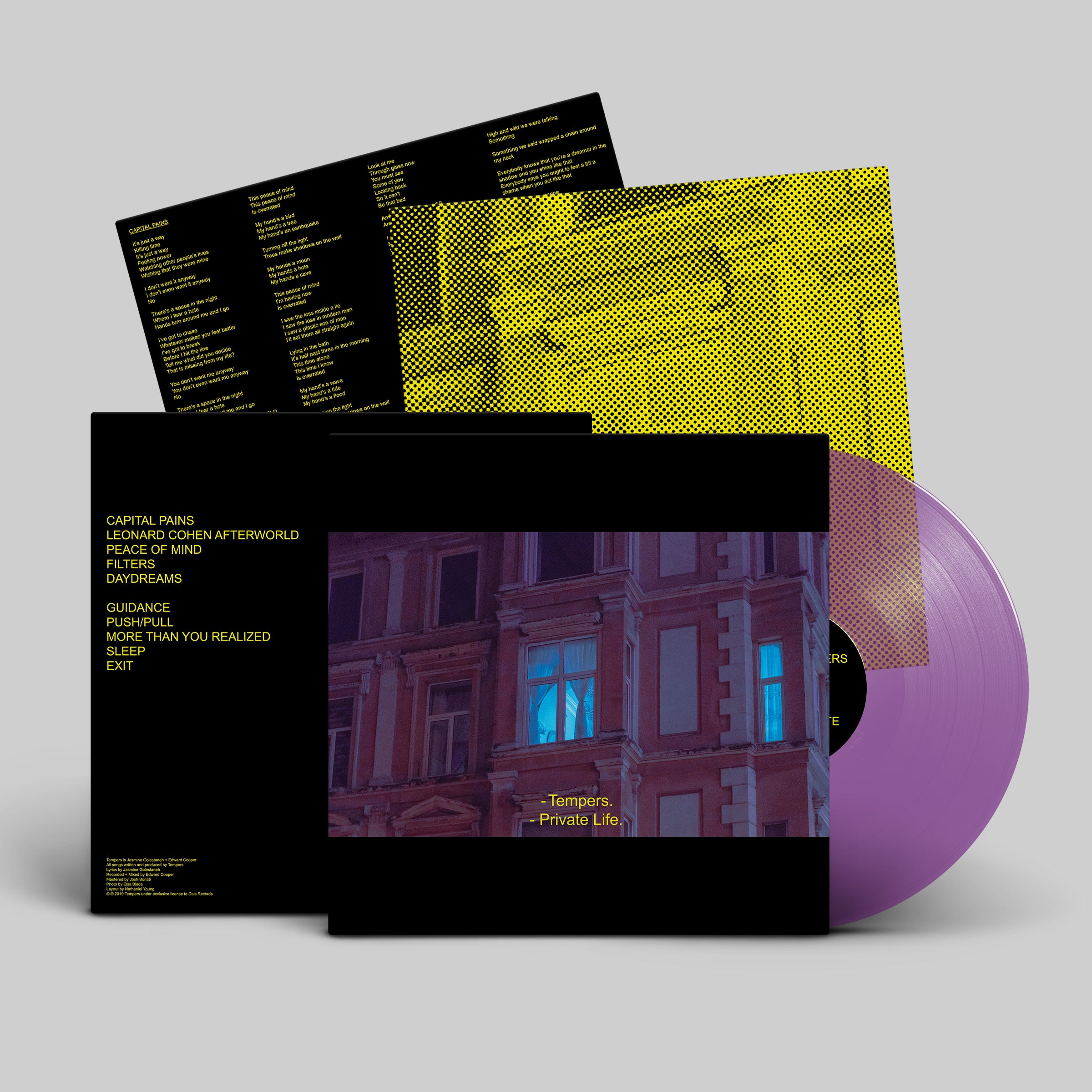 dais-vinyl-private-life-vinyle-lp-noir-synth-pop-tempers image 4