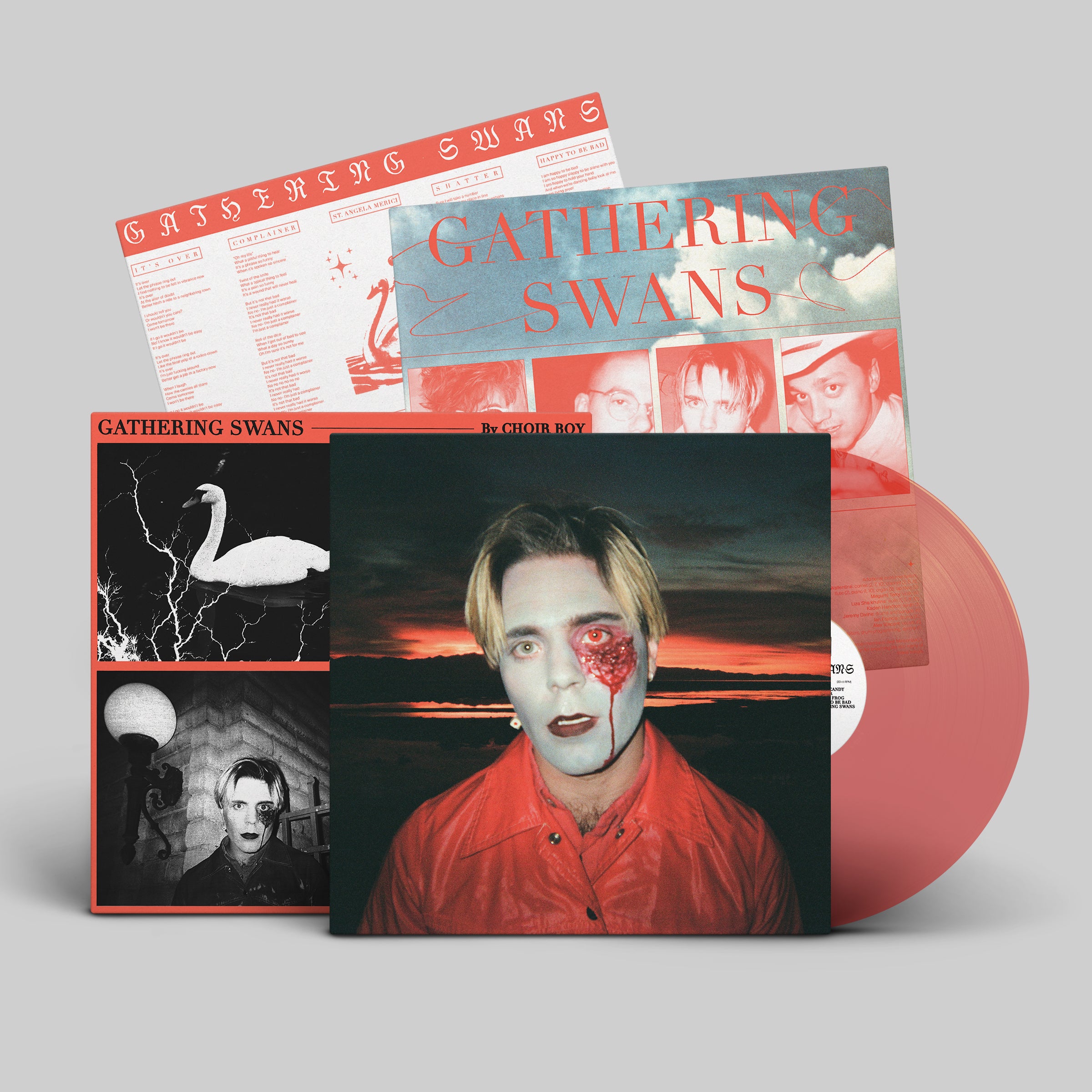 dais-vinyl-gathering-swans-lp-vinyle-bleu-clair-ltd-200 image 5