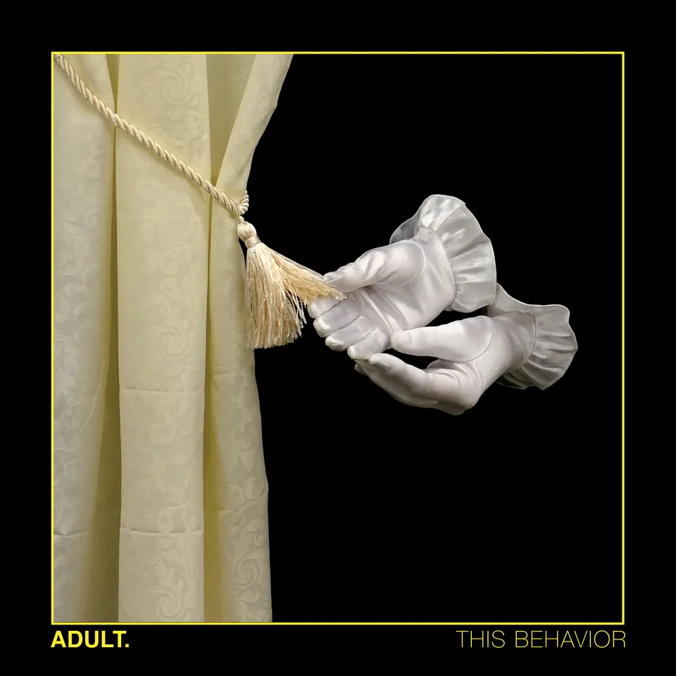 dais-records-adult-this-behavior-vinyle-lp-noir-electro image 1