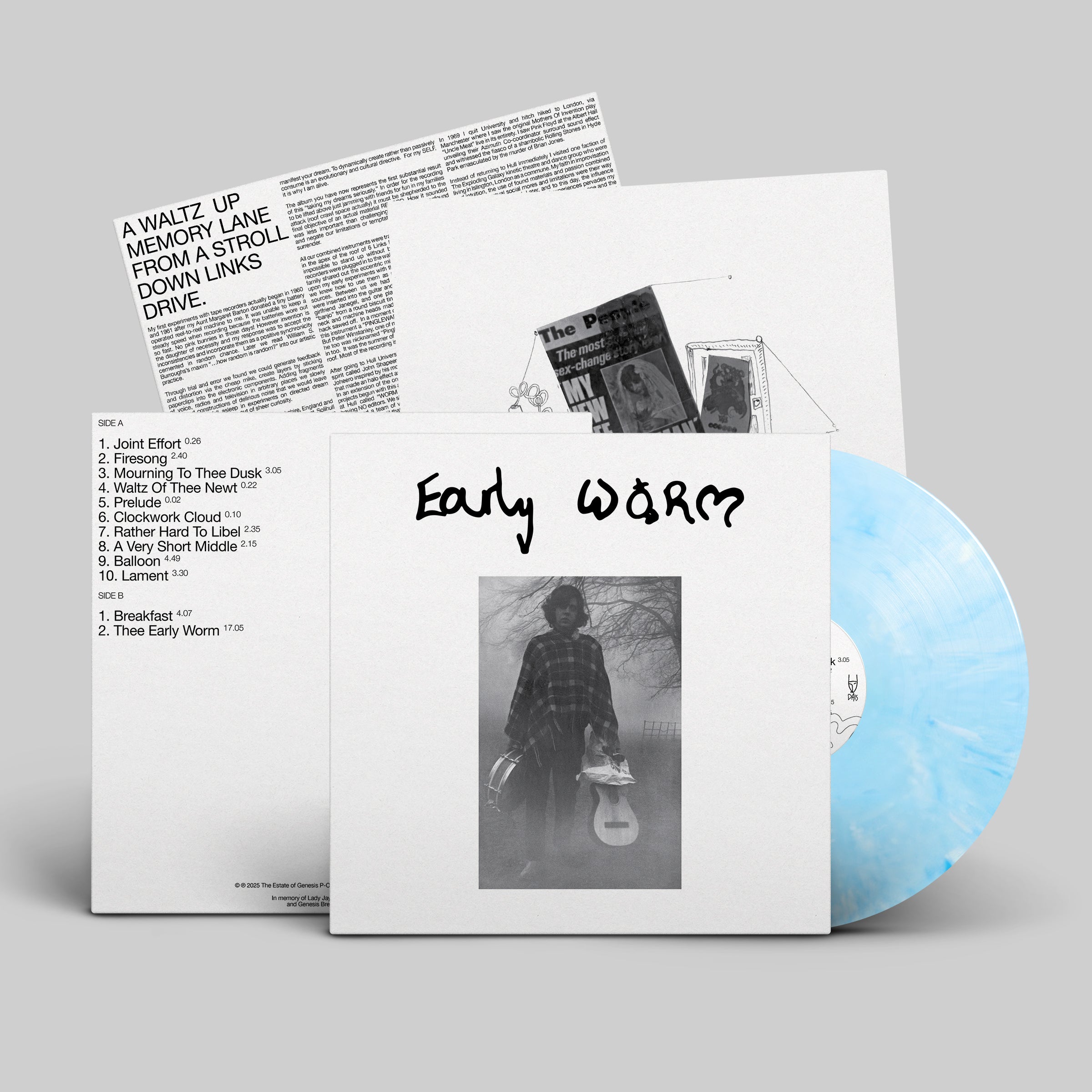 dais-vinyl-early-worm-lp-vinyle-bleu-marbr-ltd-200 image 2