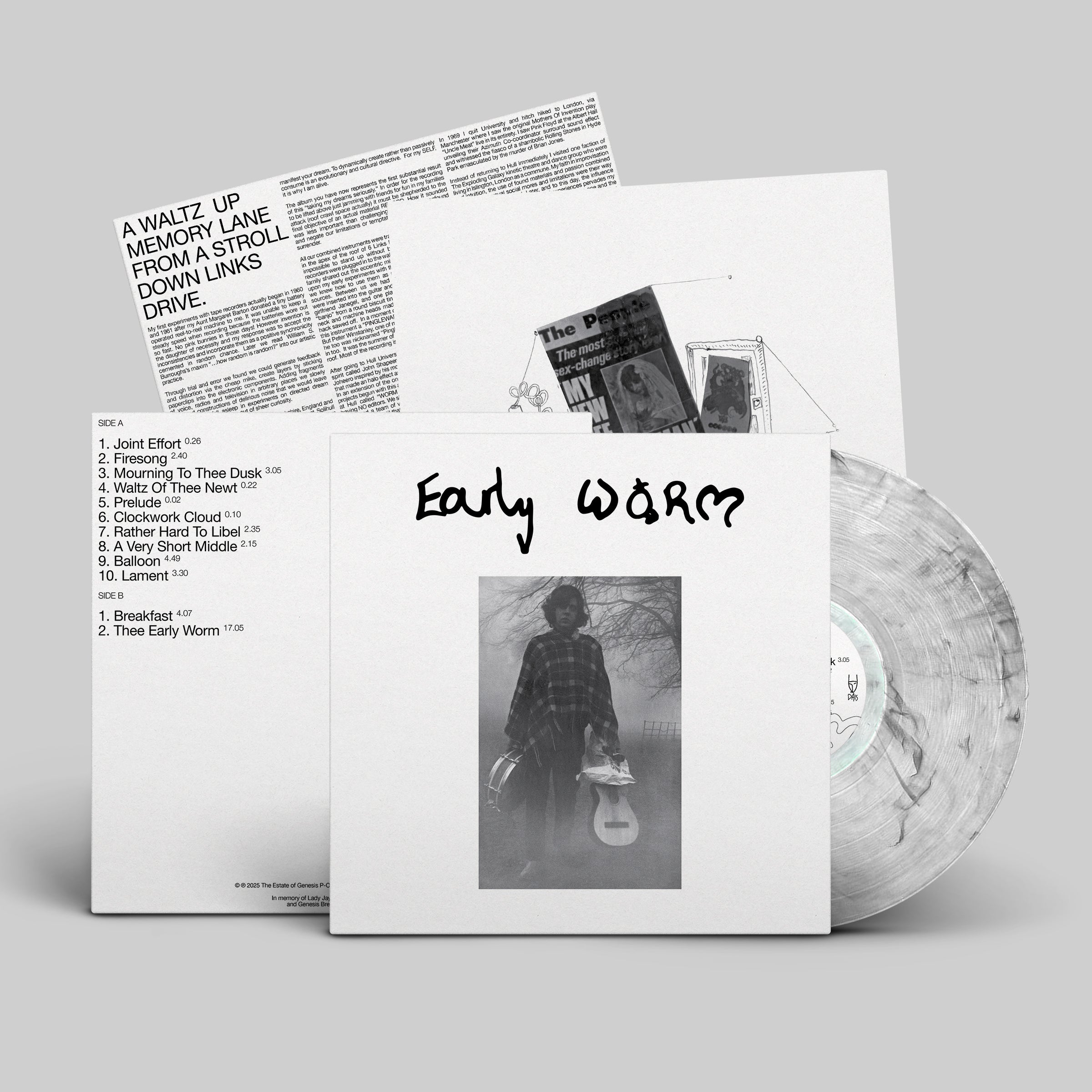 dais-vinyl-early-worm-lp-vinyle-bleu-marbr-ltd-200 image 3