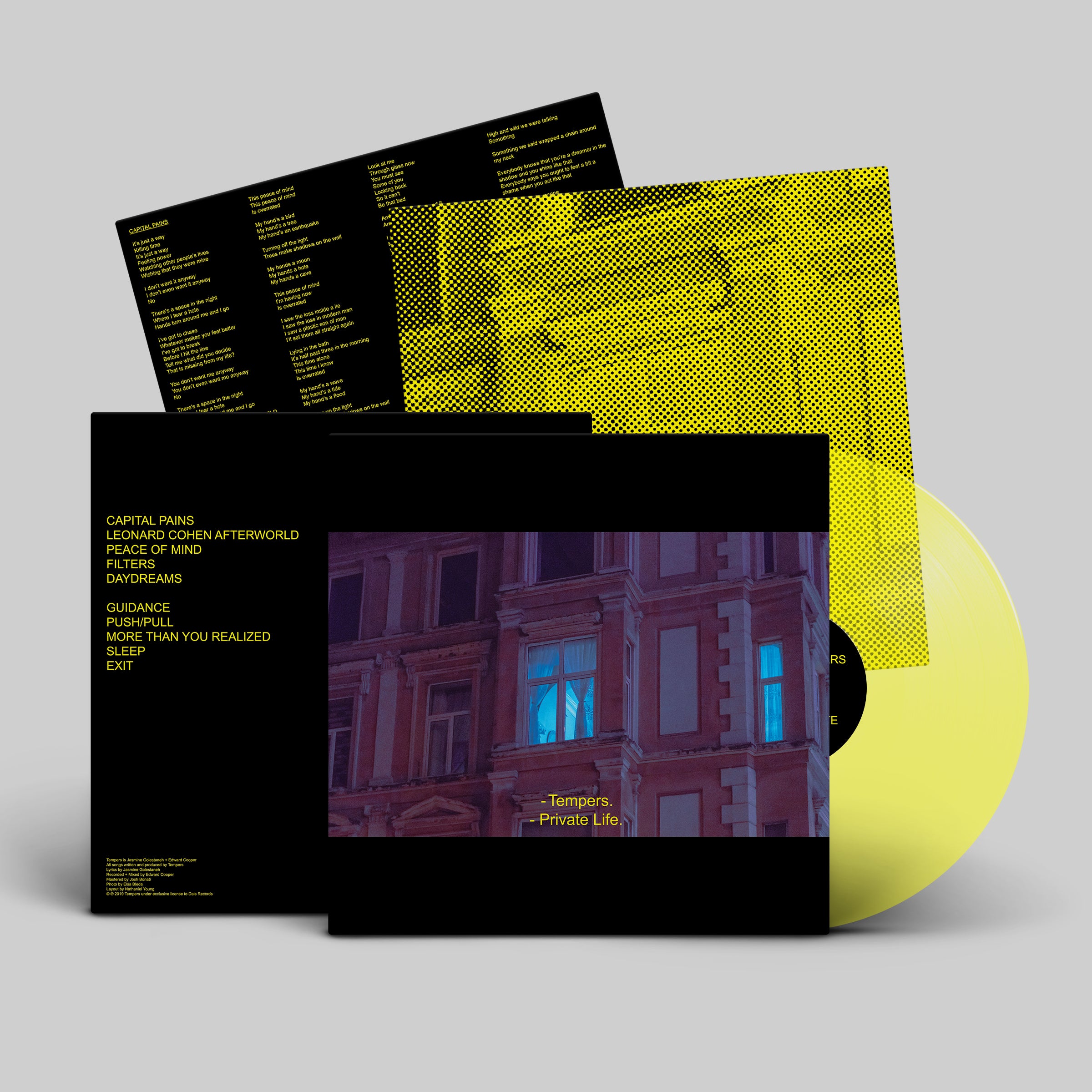 dais-vinyl-private-life-vinyle-lp-noir-synth-pop-tempers image 5