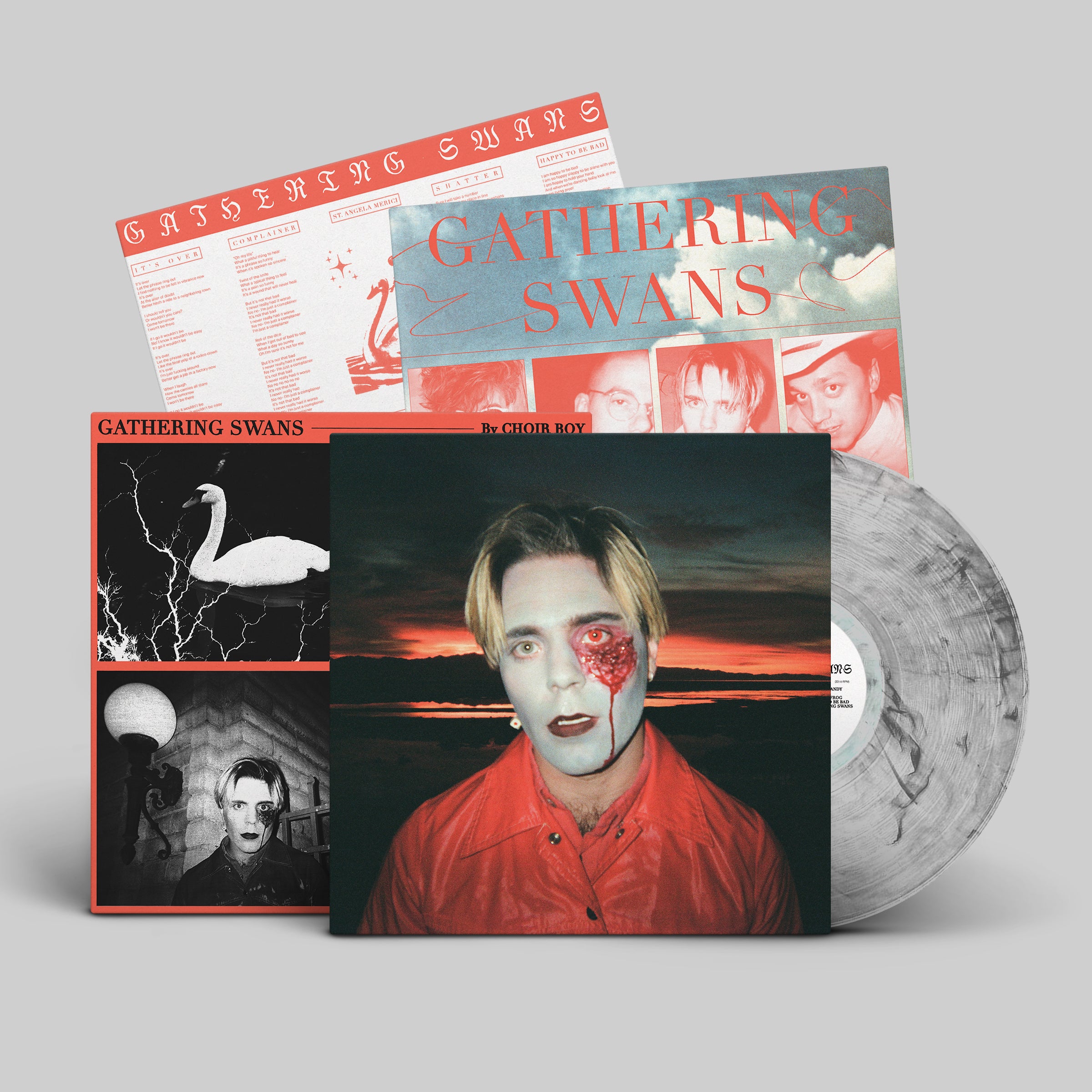 dais-vinyl-gathering-swans-lp-vinyle-bleu-clair-ltd-200 image 3