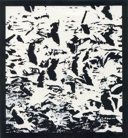 dais-records-bestial-mouths-gulls-cd-single-limit image 1
