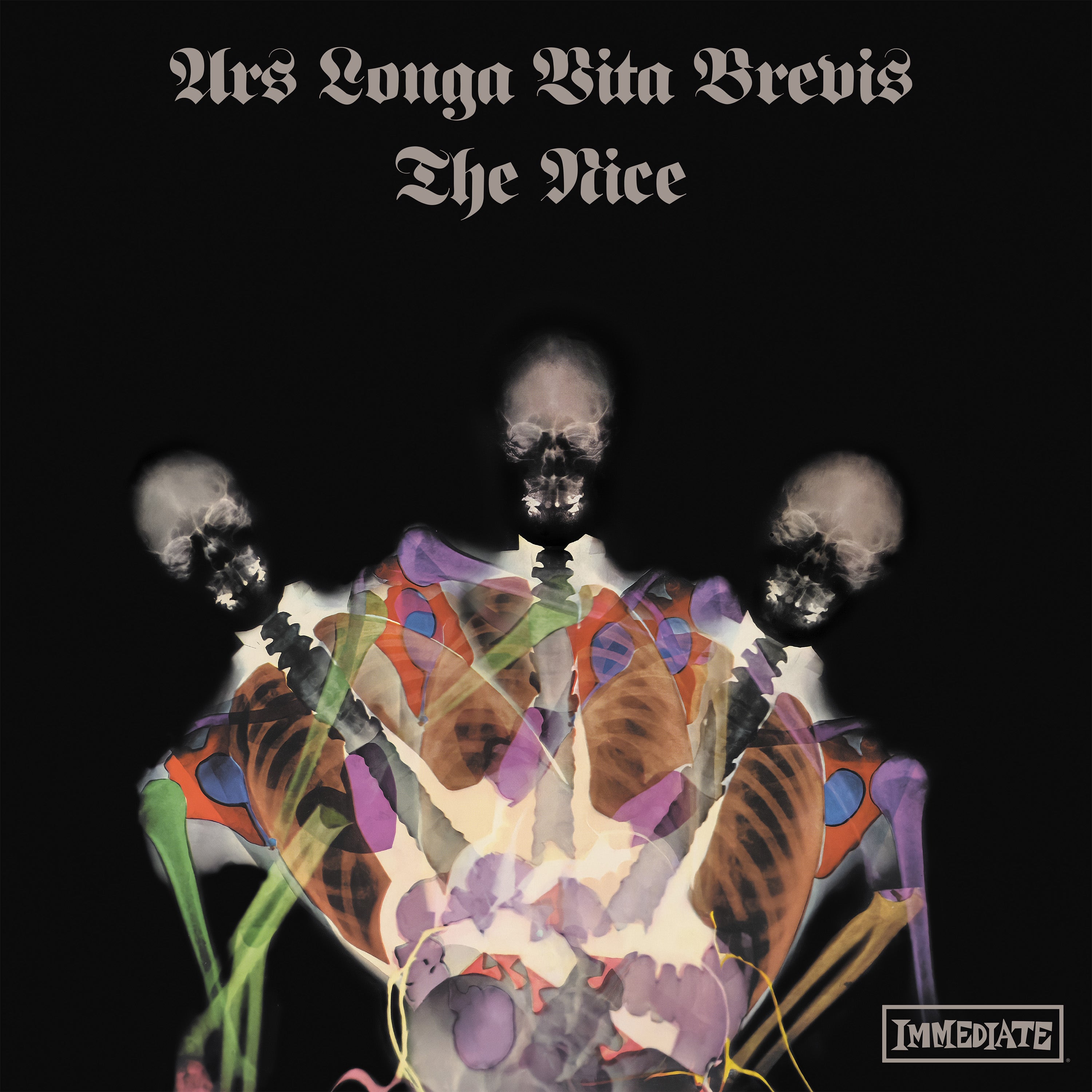 charly-records-the-nice-ars-longa-vinyle-marbr-progressif image 1