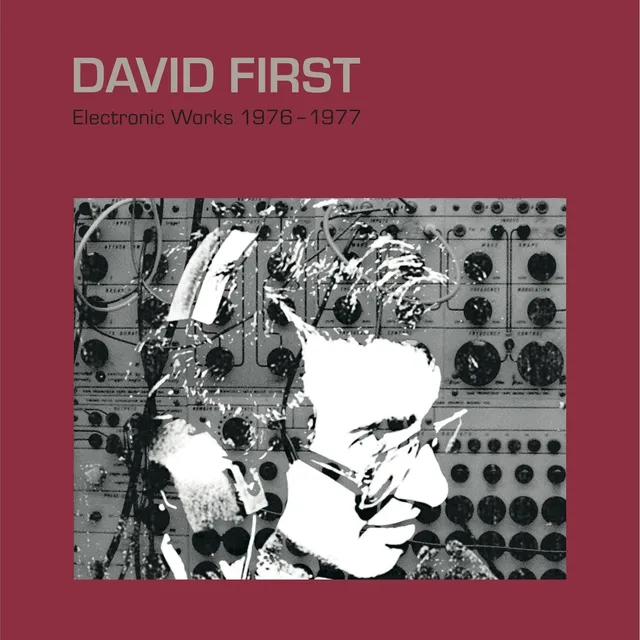 david-first-electronic-works-1976-1977-vinyle-noir-lp image 1