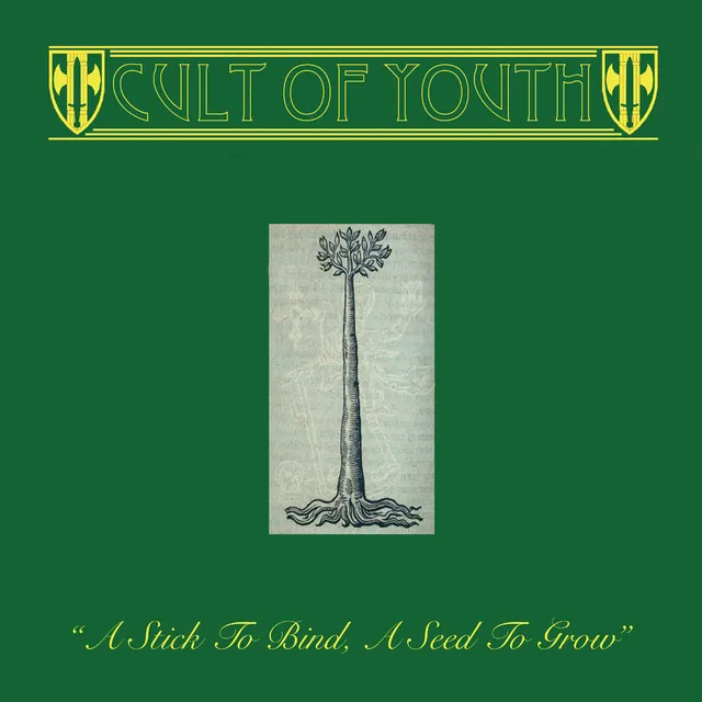 dais-records-cult-of-youth-vinyle-lp-noir-folk image 1