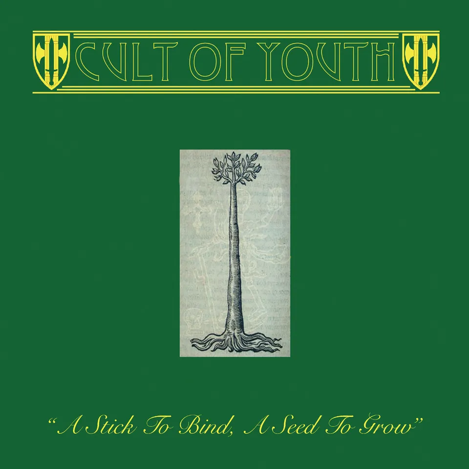 dais-records-cult-of-youth-vinyle-lp-noir-folk image 1