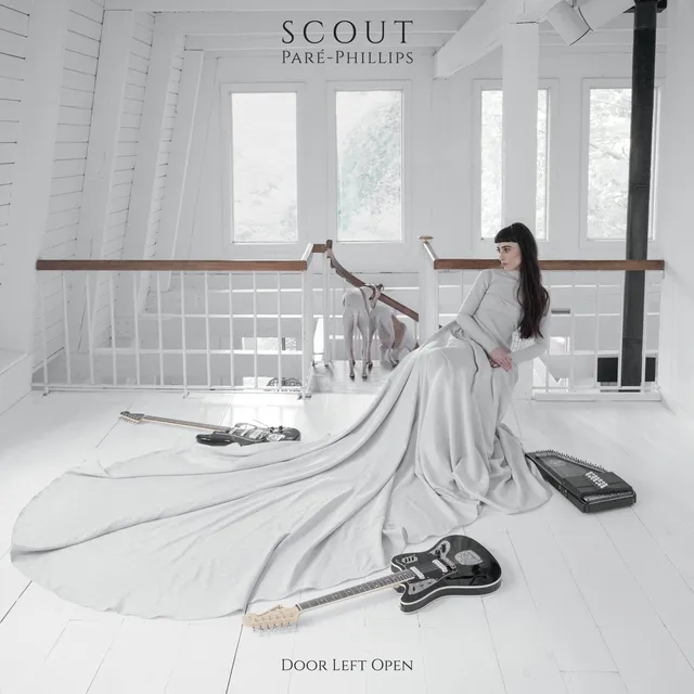 dais-vinyl-door-left-open-vinyle-lp-noir-dition-folk-ambient image 1