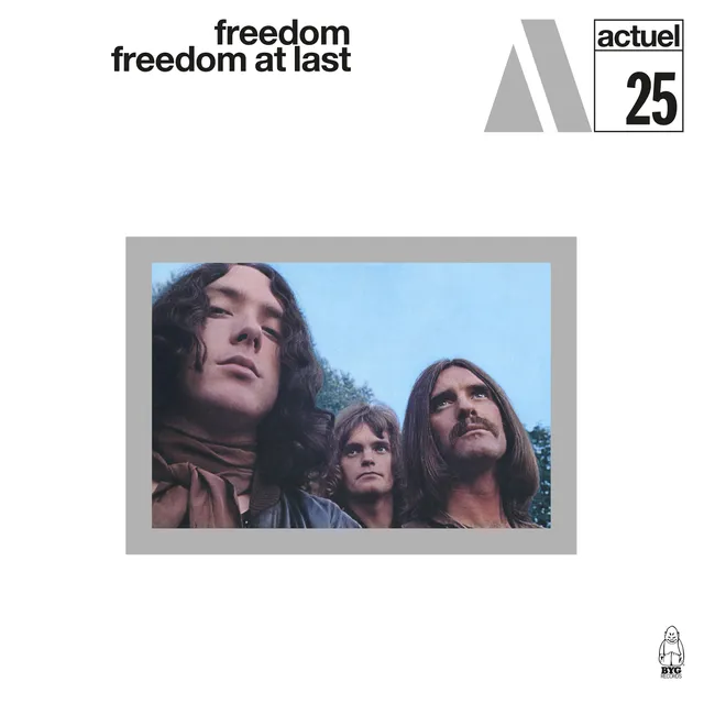 charly-records-freedom-at-last-vinyle-lp-noir-blues-rock image 1