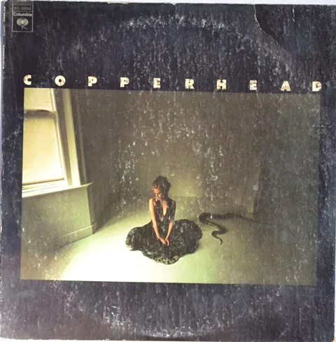 copperhead-copperhead-vinyle-lp-1973-usa-hard-rock image 1
