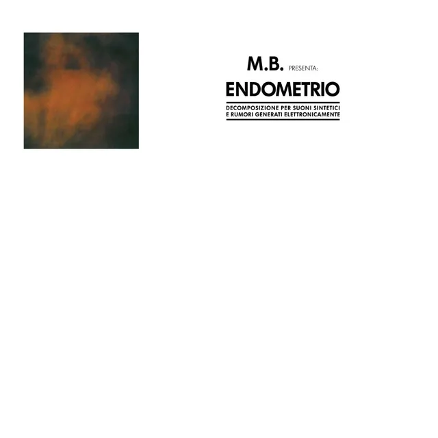 maurizio-bianchi-endometrio-vinyle-lp-noir-r-dition-500 image 1