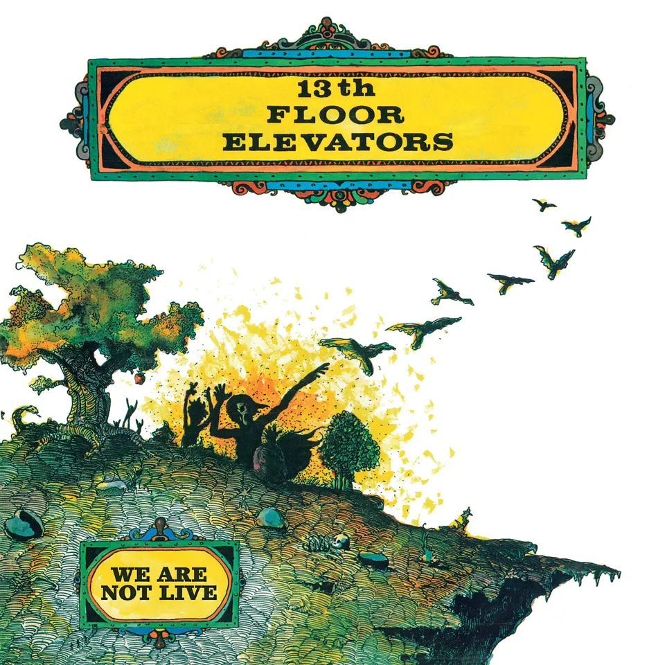 13th-floor-elevators-we-are-not-live-vinyle-lp-noir-r-dition image 1