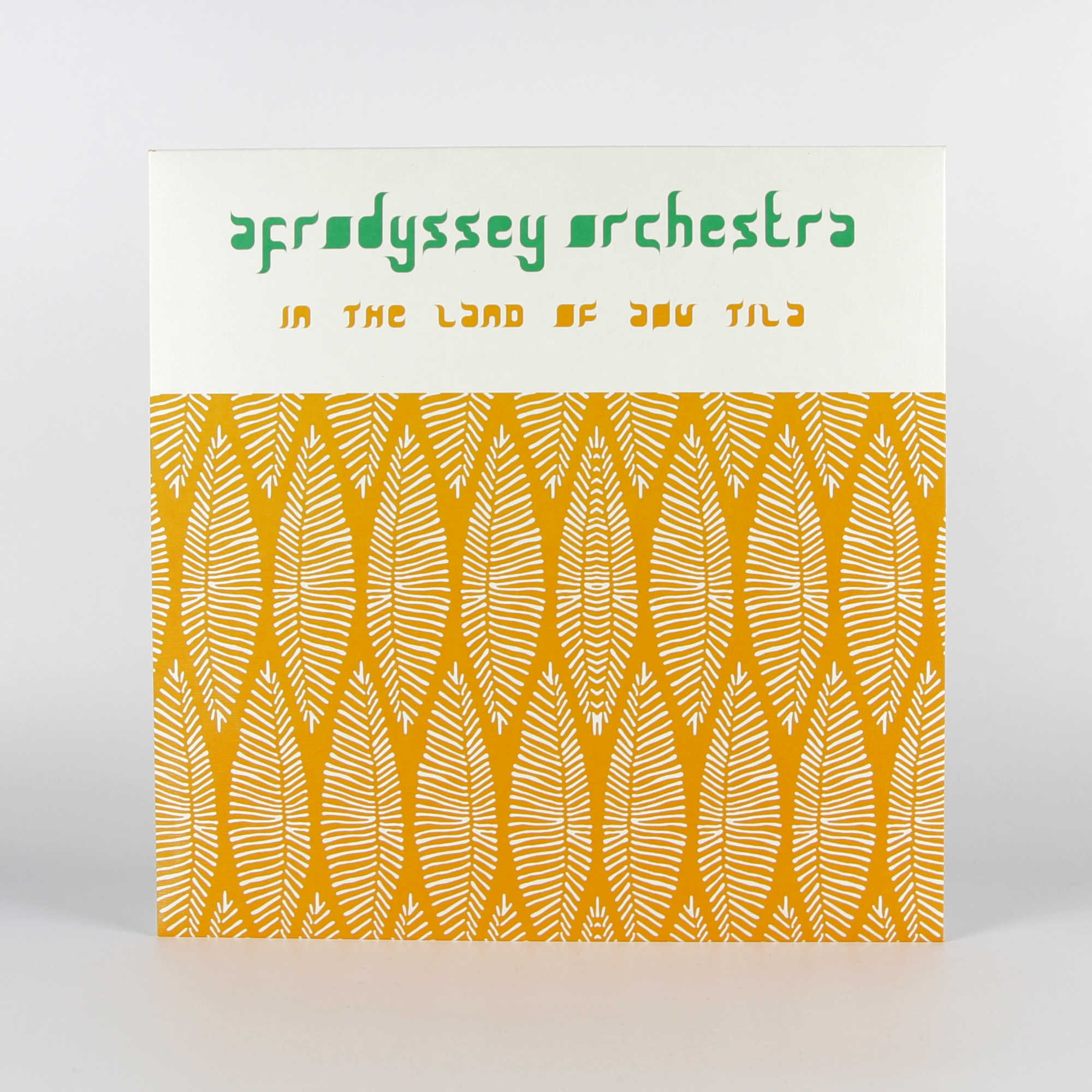 afrodyssey-orchestra-in-the-land-of-aou-tila-alt001-vinyle-lp-afro-jazz image 2